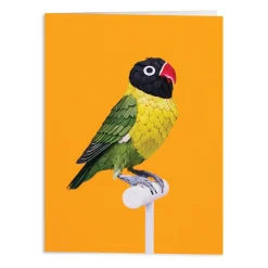 Galison Birds of the World Greeting Assortment Notecard Set