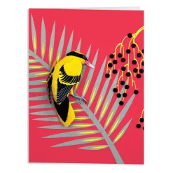 Galison Birds of the World Greeting Assortment Notecard Set