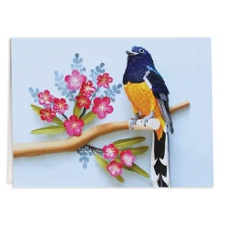 Galison Birds of the World Greeting Assortment Notecard Set