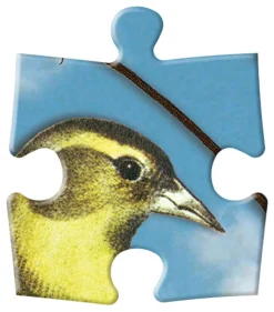 Galison Birds Sinfonia Double-Sided 250 Piece Jigsaw Puzzle