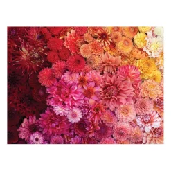 Galison Floret Farm's Cut Flower Garden Double-Sided 500 Piece Jigsaw Puzzle
