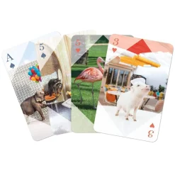 Galison Gray Malin At The Parker Playing Card Set