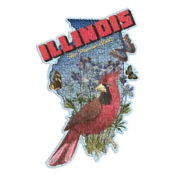 Galison Illinois Mini Shaped Puzzle
