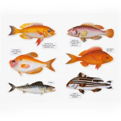 Galison Judgy Fish 1000 Piece Puzzle