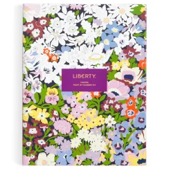 Galison Liberty 9 x 12 Paint by Number Kit Thorpe
