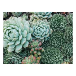 Galison Succulent Garden Double-Sided 500 Piece Jigsaw Puzzle