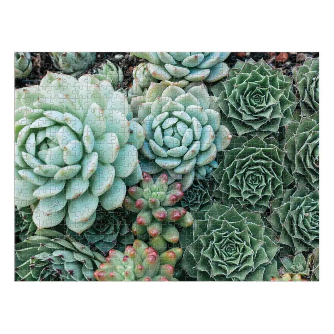 Galison Succulent Garden Double-Sided 500 Piece Jigsaw Puzzle