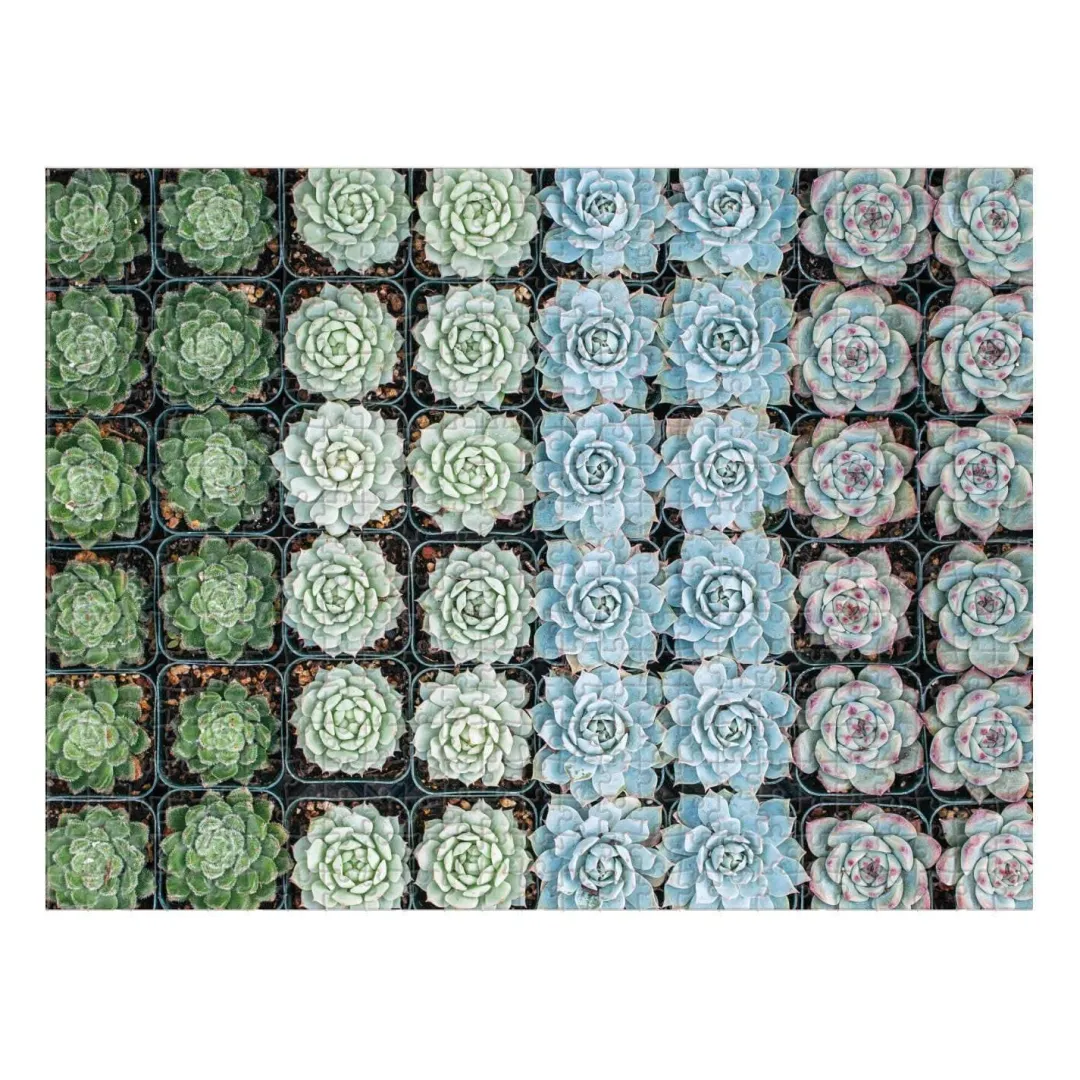 Galison Succulent Garden Double-Sided 500 Piece Jigsaw Puzzle