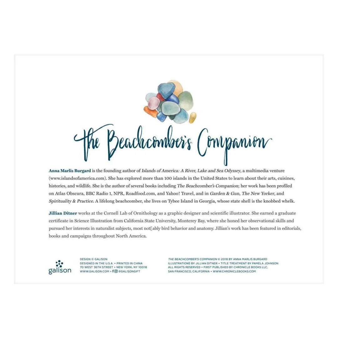 Galison The Beachcomber's Companion 1000 Piece Jigsaw Puzzle With Shaped Pieces