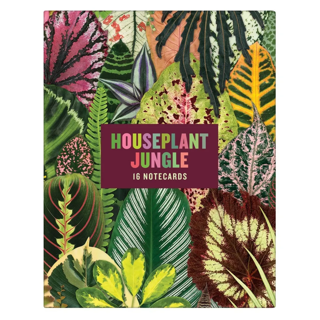 Galison Troy Litten Houseplant Jungle Greeting Assortment Notecards