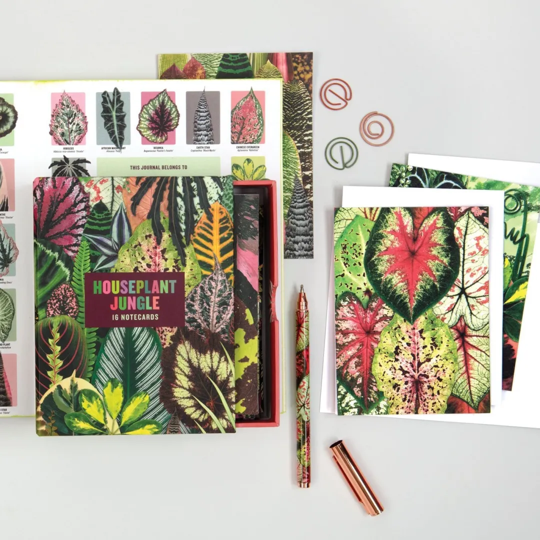 Galison Troy Litten Houseplant Jungle Greeting Assortment Notecards