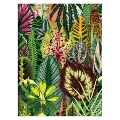 Galison Troy Litten Houseplant Jungle Greeting Assortment Notecards