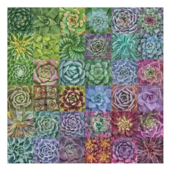 Galison Troy Litten Succulent Spectrum 500 Piece Jigsaw Puzzle