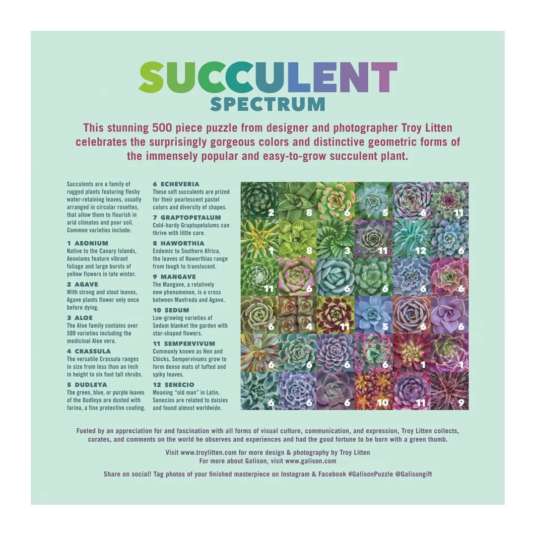 Galison Troy Litten Succulent Spectrum 500 Piece Jigsaw Puzzle